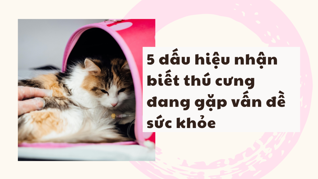 Nhận biết dấu hiệu thú cưng bị bệnh