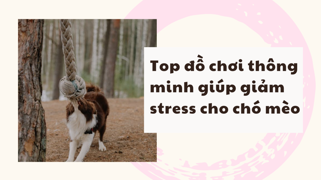 Đồ chơi cho thú cưng giảm stress